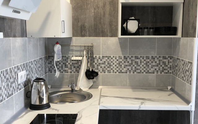 Sovremennaya Studiya V Lopatino Flat