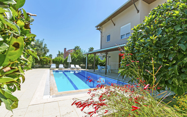 Paradise Town Hazel Villa