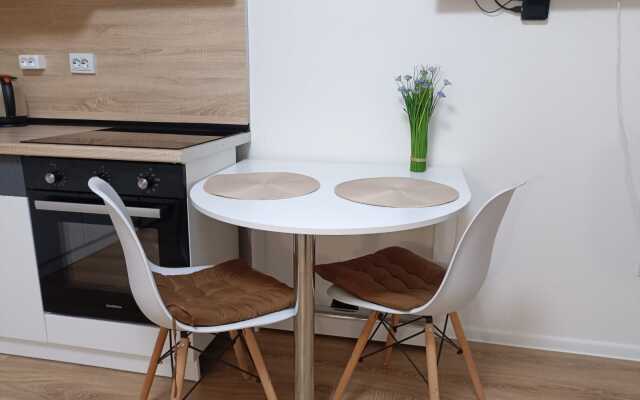 20 min. do Vnukovo Apartments