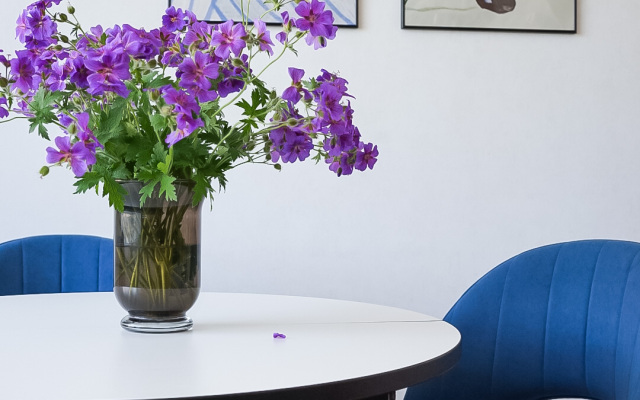 Апартаменты у озера Тихое Baden Спа