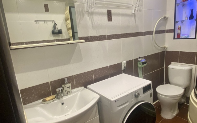 Квартира Pushkinapart