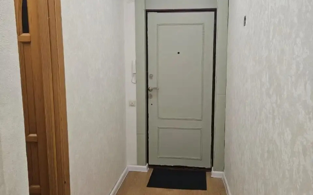 Dvukhkomnatnaya Kvartira S Dizaynerskim Remontom Na Gudovantseva 51 Flat