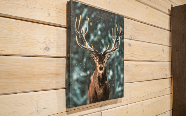 Гостевой дом Шале Аркасара