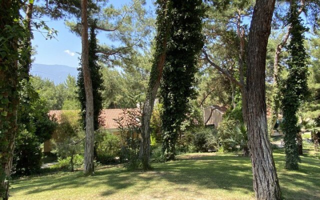 Pine Club Apart Hotel