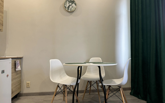 Studiya v tsentre goroda Flat