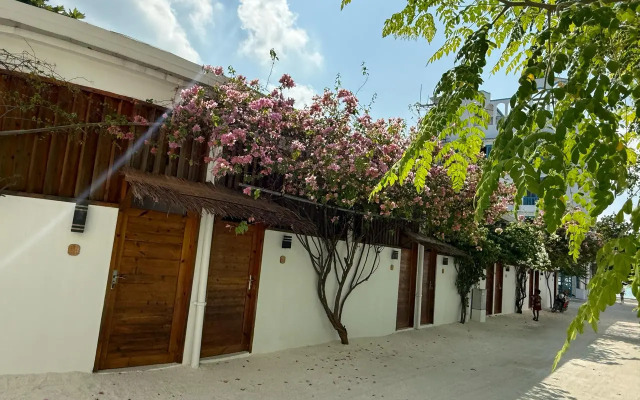 Navaya Dhiffushi Guest house
