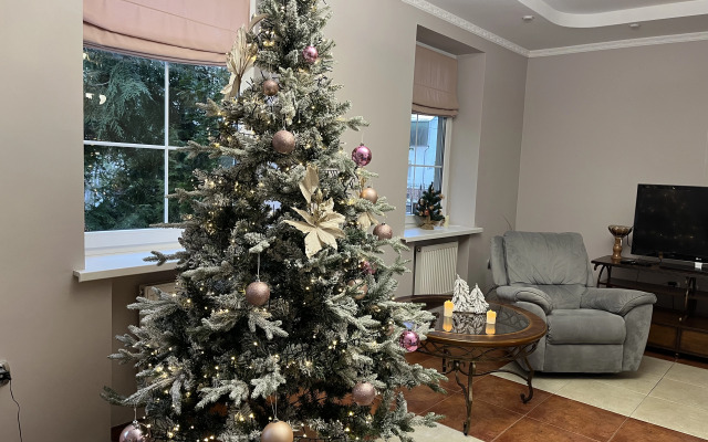 Частный дом в центре города с зеленым садом