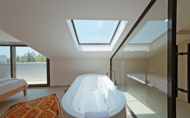 Ion Villa