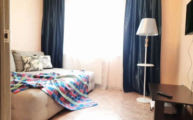 Апартаменты на Московском Проспекте 120 (450)