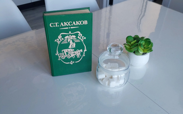 Апартаменты Аксаковские