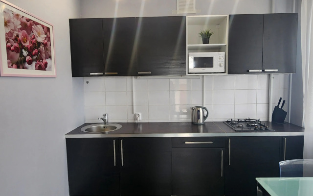 Апартаменты WinWin (ВинВин) в центре на набережной озера Кабан