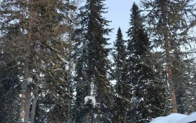 Меблированные комнаты Тетрис