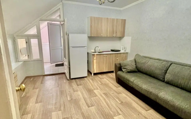 Апартаменты Адлер Чкалова д 42/1 № 10 Альфагид