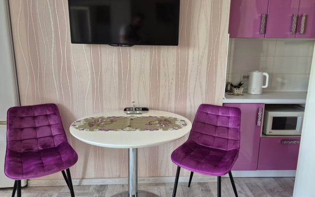 Квартира Студия двухместная с кухней Stukaloff