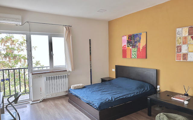 Cosy studio near center Apartments