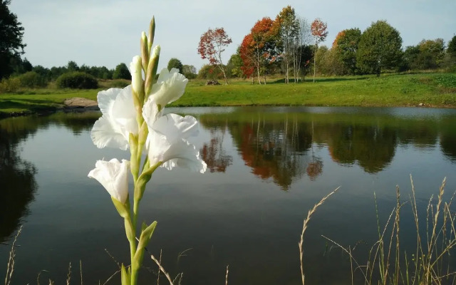 Podcherniche guest House