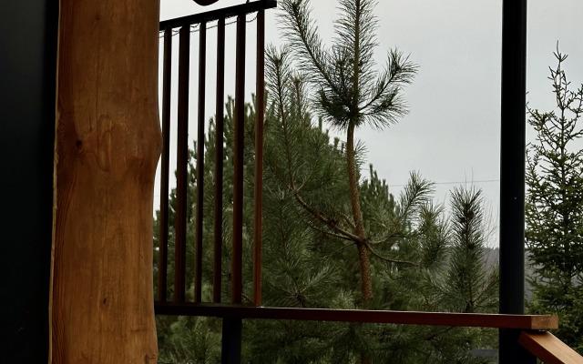 Частный Дом Западная Дача в Тарусе