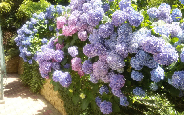 Гостевой дом Эвкалипт