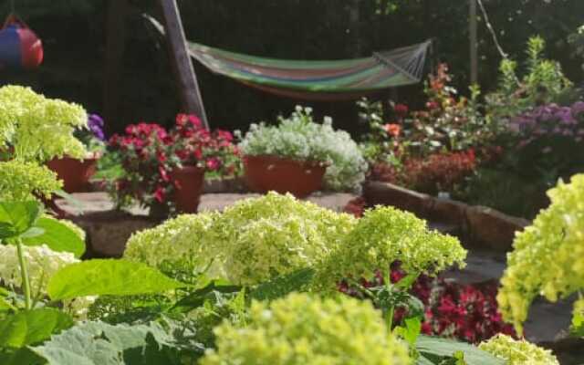 Radevichi Guest House