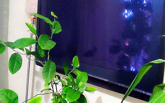 Квартира Большая в Центре Города