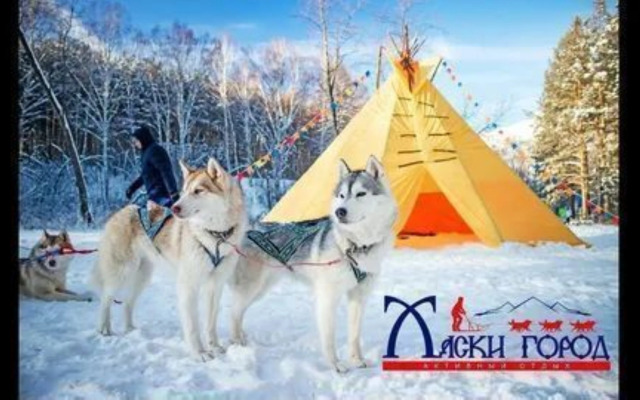 Частный Дом Ёлки 3