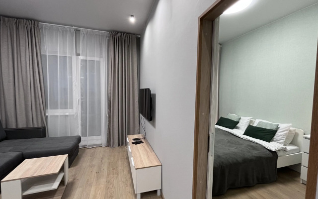 Апартаменты Двухкомнатная квартира 210 Онегономе в ЖК Высокий Стандарт