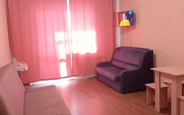 Studiya Na Lermontova 31 Flat