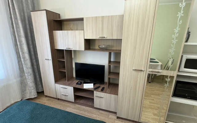 Квартира на Ветеранов 171к5