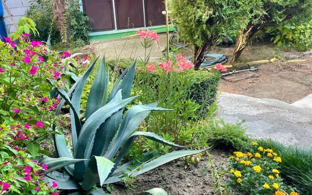 Tikhoye Mesto Linariya Guest house
