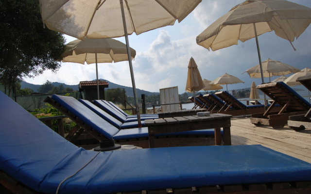 Nuri's Beach Bungalow