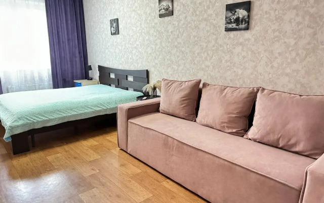 1-Komn. na Partizana Zheleznyaka 61 Flat