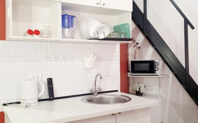 Апартаменты Paradnaya №7 2