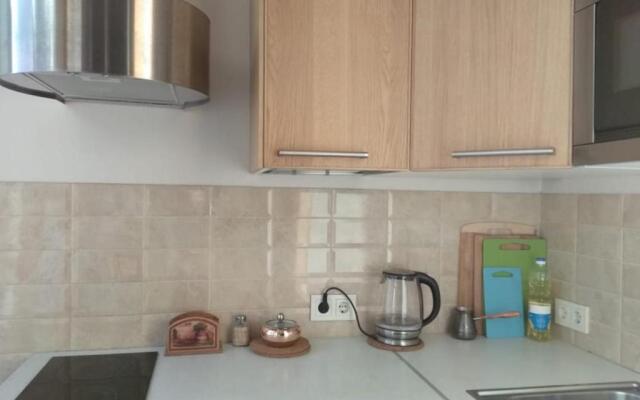 Дизайнерская Двухкомнатная квартира  Малая Морская 19 Скандинавия