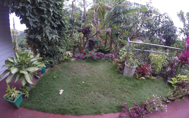Blossom Rest Guest House