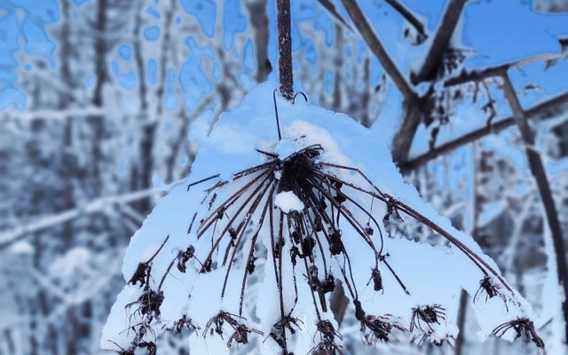 Частный Дом Шива