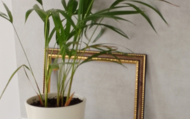 Квартира Янтарный Горизонт 2