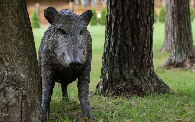 Hotel Park-Otel Zolotoy Zhelud