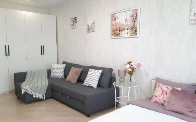 Квартира "Билет в Париж" рядом с парком Галицкого. Сеть Мята