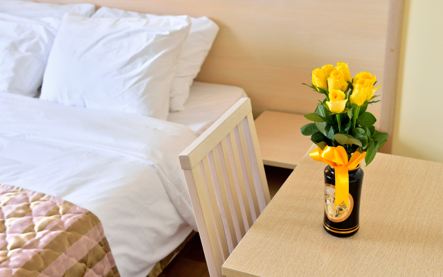 Pushkin Mini-Hotel