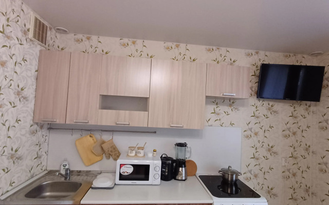 Uyutnaya Studiya V Murino Flat