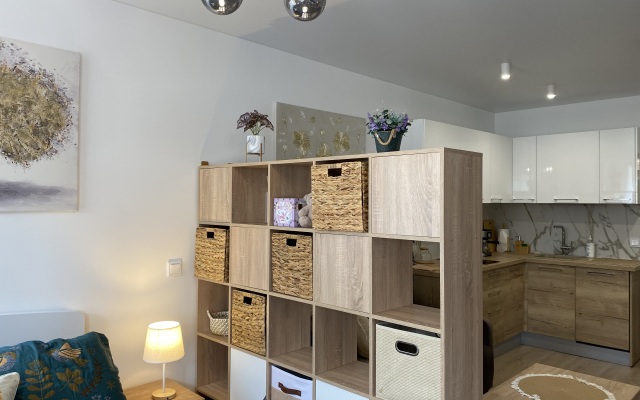 Apartamenty Studiya Skandi S Vidom Na Kreml