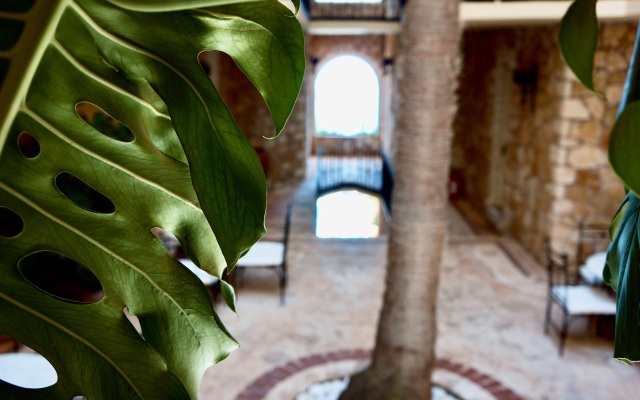 Villa Tamara Hotel