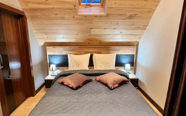 Recreation camp Altay Forest Glamp