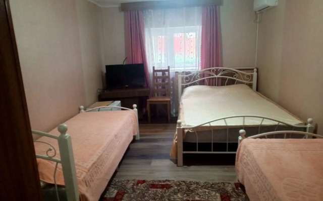 Na Tolstogo 13 Guest House