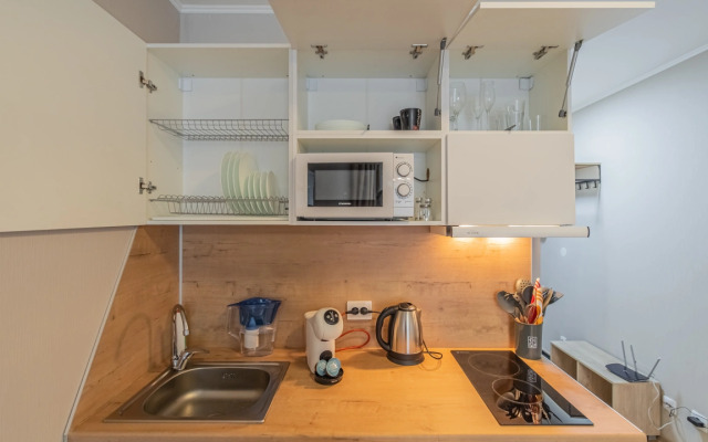 Apartment Standart SalutApart 8