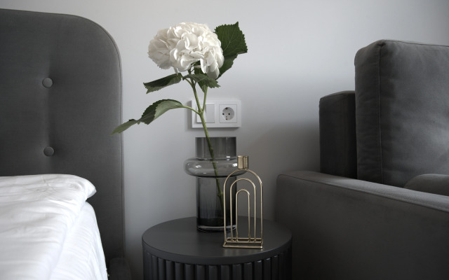 Апартаменты Скайлайт у Мариинского театра