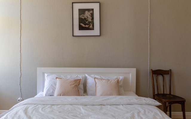 Апартаменты Классическая петербургская квартира в духе ХХ века