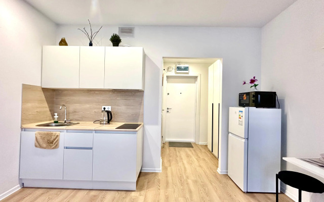 Апартаменты Истоман Студия вид на пруд