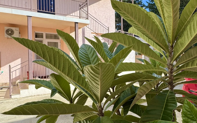 Guest House Semeyny Ostrov