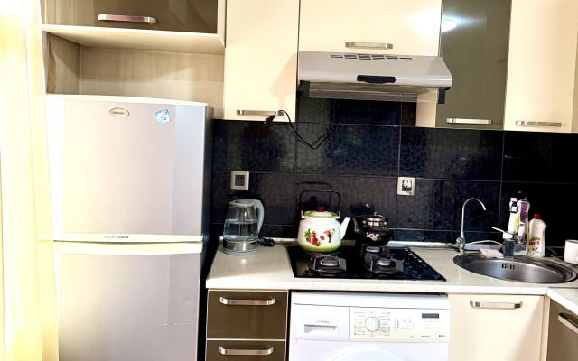 V Tsentre Baku Flat